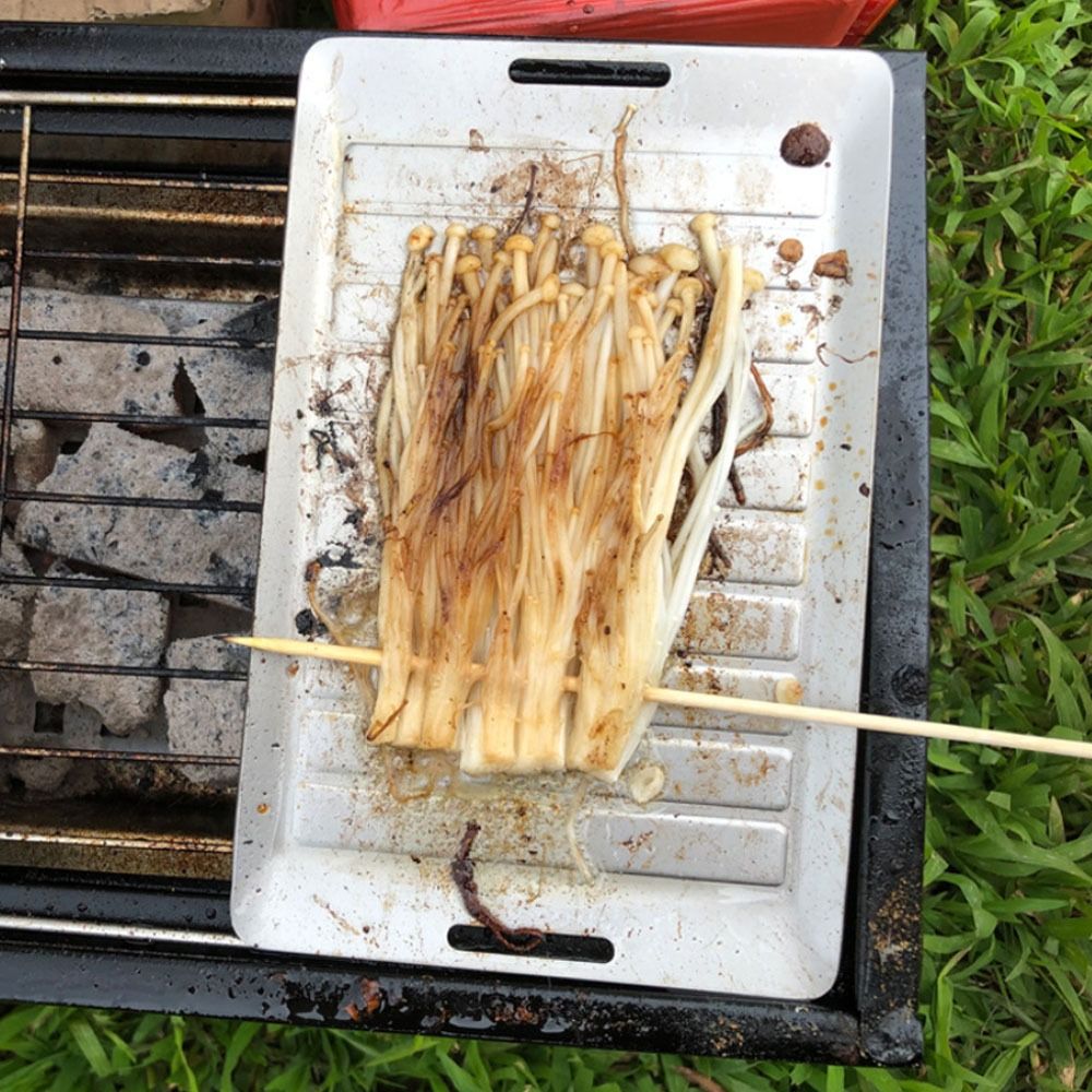 Durable Titanium Camping Grill - Camping Cooking Pan ulasan dan harga